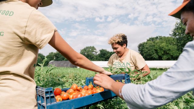 2018 SXSW Community Service Awards Honoree - Urban Roots