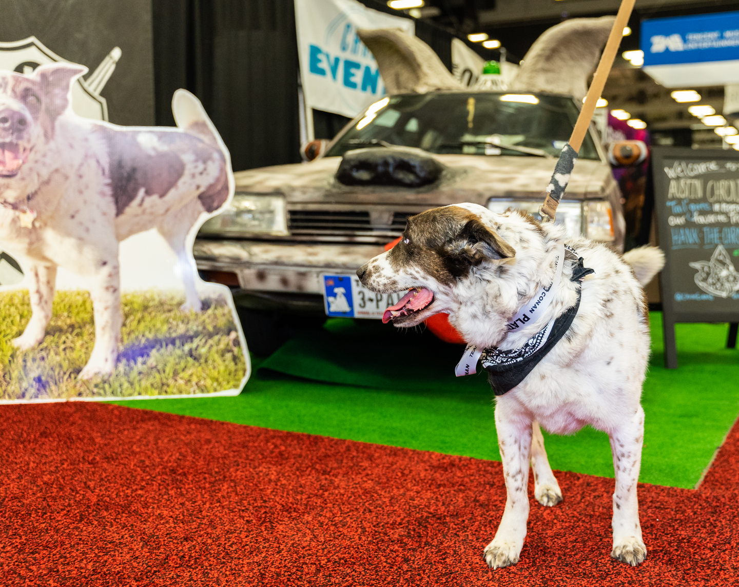 Hank made an appearance at the Austin Chronicle booth in the Trade Show.