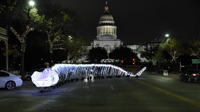 Rattlesnake from Austin Bike Zoo rides downtown during SXSW 2019 - Photo by Anthony Mireles