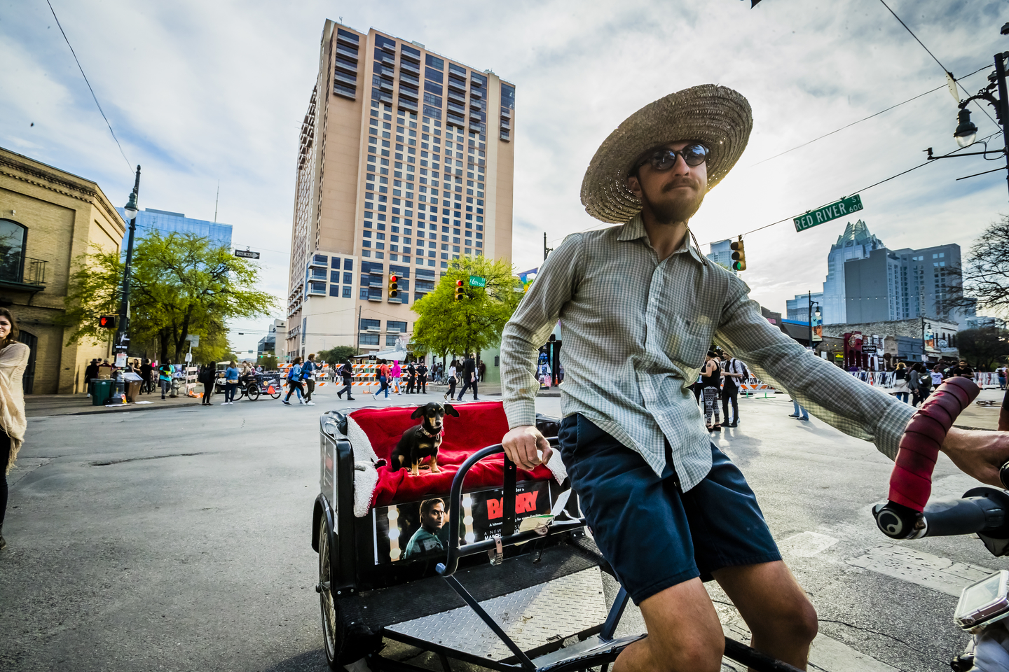 Dogs hire pedicabs?