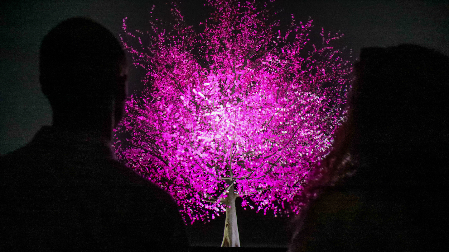 SXSW 2019 Art Program Blooming by Lisa Park - Photo by Randy and Jackie Smith