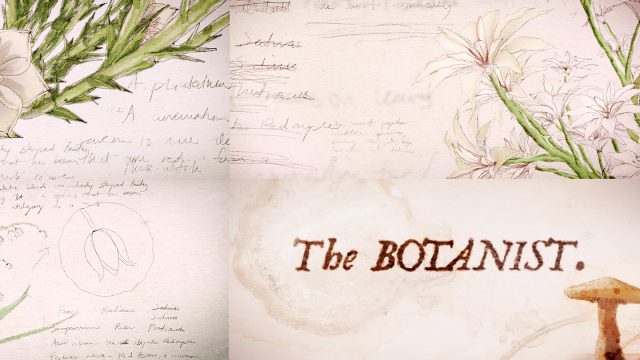 SXSW 2021 Film The Botanist Title Sequence