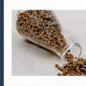 SXSW Pitch participant Applied Bioplastics wins the Social and Culture category at the SXSW Pitch Awards during SXSW Online on March 20, 2021.